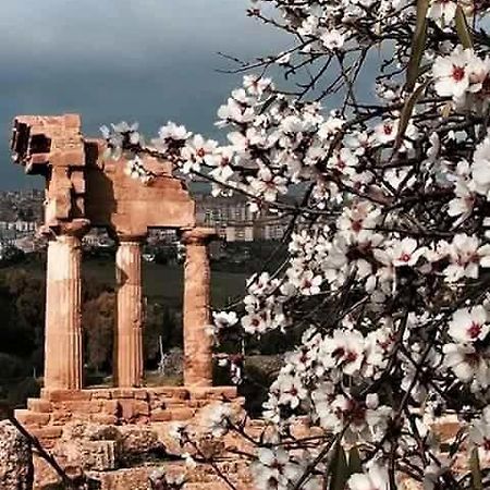 Alfa Quadro Bed & Breakfast Agrigento Dış mekan fotoğraf