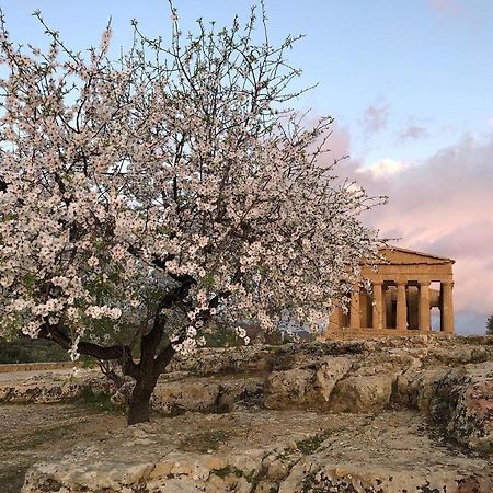 Alfa Quadro Bed & Breakfast Agrigento Dış mekan fotoğraf