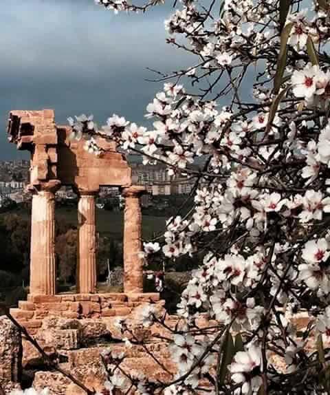 Alfa Quadro Bed & Breakfast Agrigento Dış mekan fotoğraf