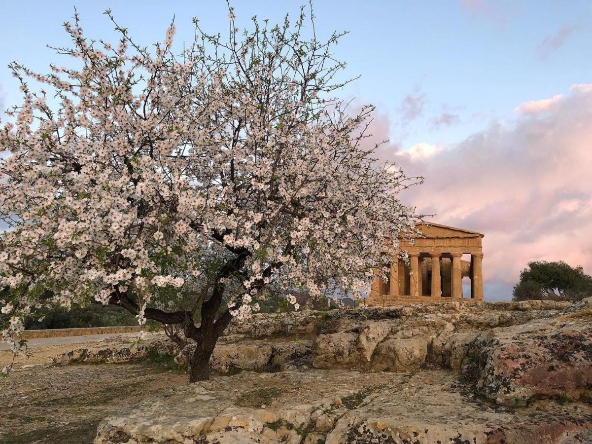 Alfa Quadro Bed & Breakfast Agrigento Dış mekan fotoğraf